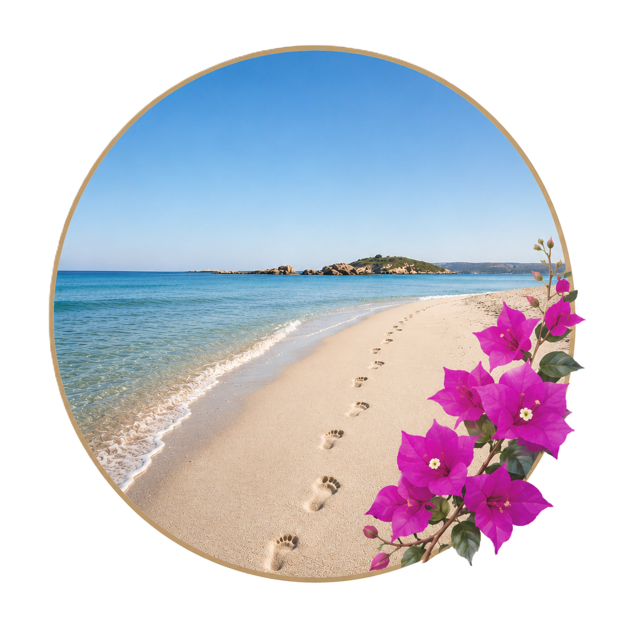 My Own Wellbeing Coaching